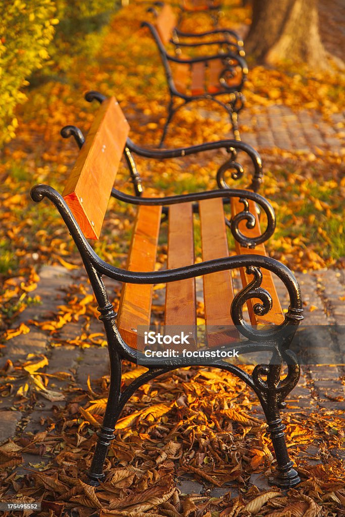 秋の公園のベンチにハンガリー - オレンジ色のロイヤリティフリーストックフォト