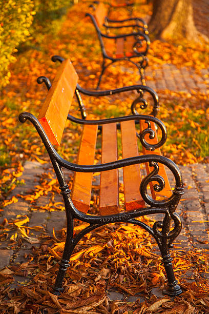 istock Autumn a park bench in Hungary 175495552