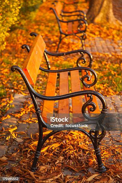 Осенний Парк Скамейке В Венгрии — стоковые фотографии и другие картинки Без людей - Без людей, Вертикальный, Время года