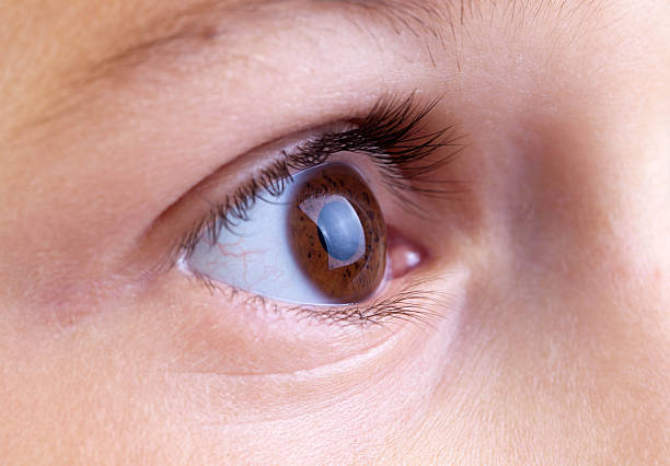 istock Closeup of a Boy's Eye 175496093