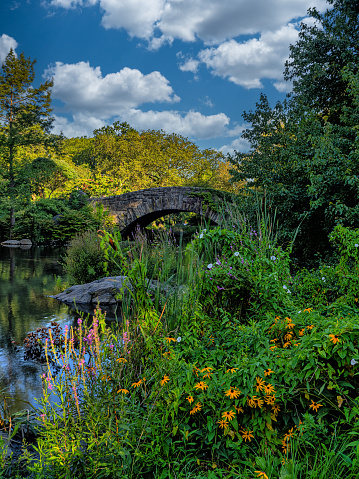Gapstow Bridge in Central Park  in late summer in the early morning