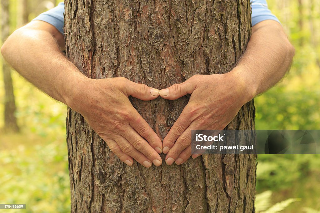 나무 hugger - 로열티 프리 개념 스톡 사진