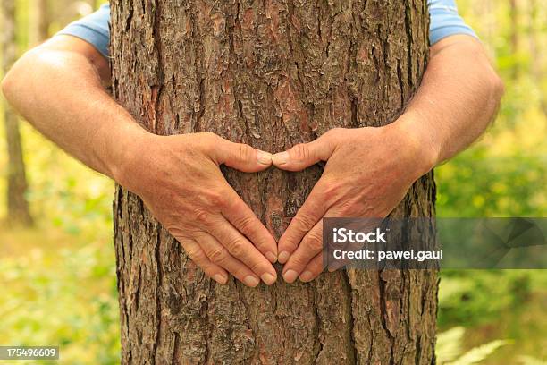 나무 Hugger 개념에 대한 스톡 사진 및 기타 이미지 - 개념, 격언, 나무