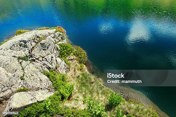 Lago Di Montagna Nelle Alpi - Fotografie stock e altre immagini di Acqua stagnante - Acqua stagnante, Alpi, Ambientazione esterna