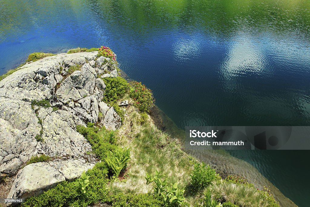 Górskie Jezioro w Alpach - Zbiór zdjęć royalty-free (Alpy)