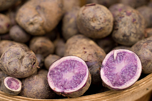 Basket of Purple Potatoes With One Cut Open stock photo