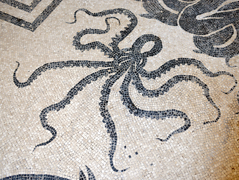 An original Ancient Roman mosaic floor (over 2000 years old) depicting an octopus at the Roman city of Herculaneum