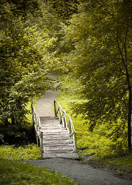 The Forgotten path Footpath and wooden bridge in Yasnaya Polyana. leo tolstoy stock pictures, royalty-free photos & images