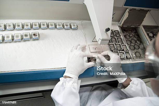 Foto de Histologia Processo Incorporar e mais fotos de stock de Enterrado - Enterrado, Equipamento, Fotografia - Imagem