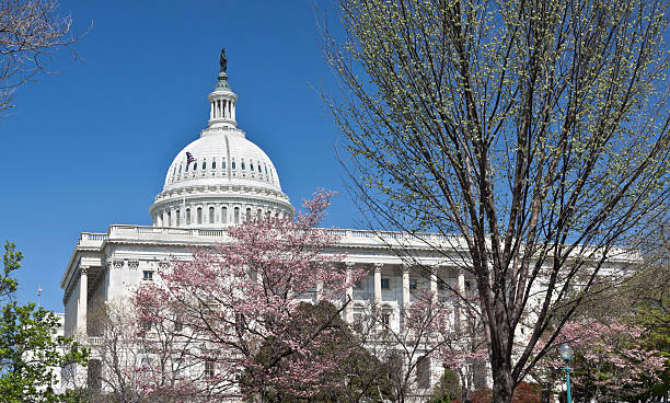 istock Capitol Building, Washington DC. Clear blue sky. 175497846