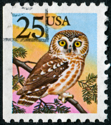 Cancelled Stamp From The United States Featuring A Saw-whet Owl Native To North America.