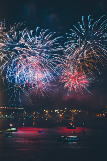 Multicolored firework cluster over a night sky 29 ekim