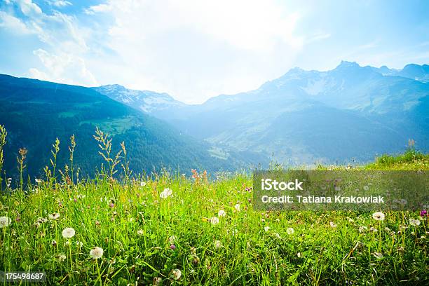 Alpine Meadow Stock Photo - Download Image Now - Switzerland, Meadow, European Alps
