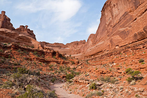 istock Dry Riverbed in Park Avenue Canyon 175498935