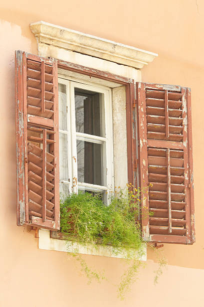 abrir janela envelhecida de madeira marrom com verde, flores - shutter unhygienic ancient old - fotografias e filmes do acervo