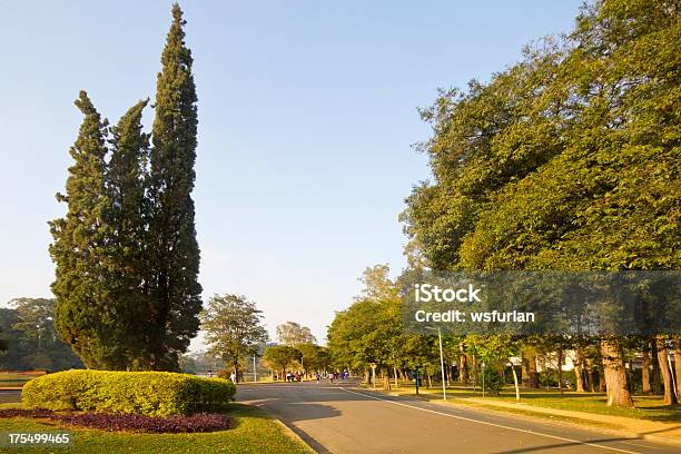 Ibirapuera Park Stock Photo - Download Image Now - Ibirapuera Park, Active Lifestyle, Activity