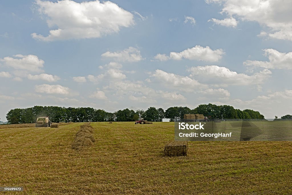 Los agricultores trabajo - Foto de stock de Agricultura libre de derechos