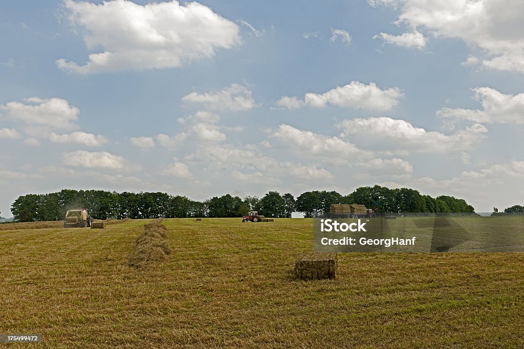 Os agricultores trabalho - Foto de stock de Agricultura royalty-free