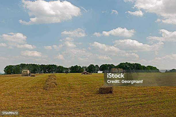 Foto de Os Agricultores Trabalho e mais fotos de stock de Agricultura - Agricultura, Ajardinado, Alimentar