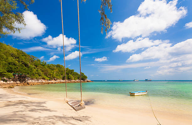 istock rope swing by sea 175499797