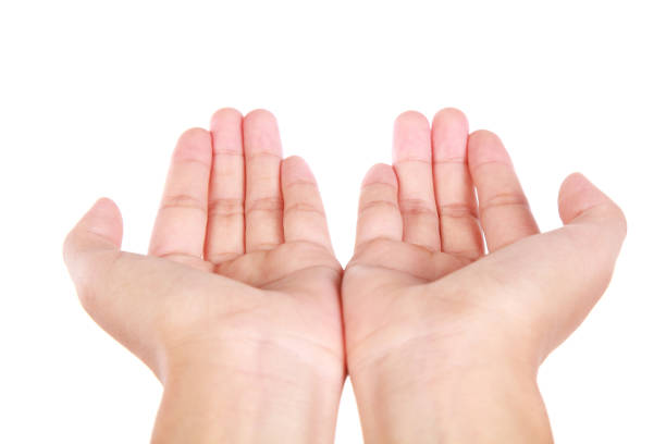 istock Hands open on white background-XXXL 175500276