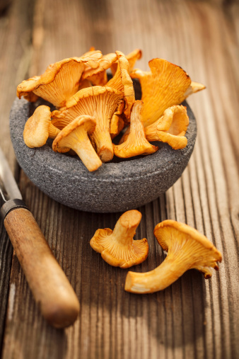 Group of chanterelles on rustic wooden table