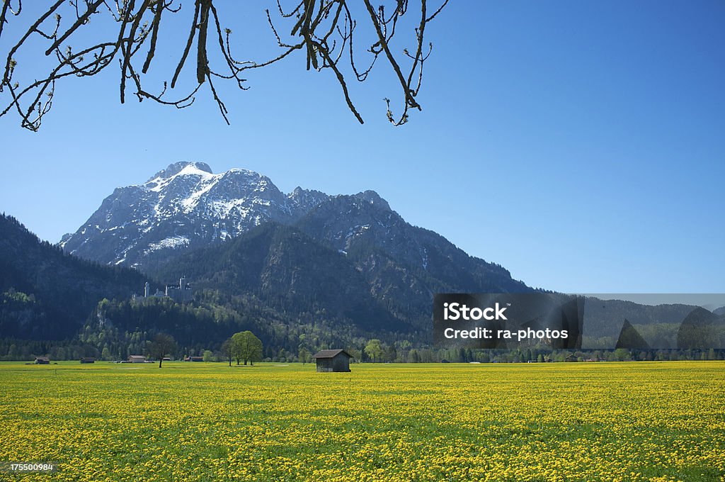 Printemps dans les Alpes - Photo de Allemagne libre de droits
