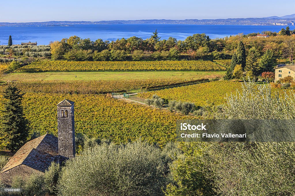 Viñedos en otoño, Italia lago de Garda, - Foto de stock de Viña libre de derechos