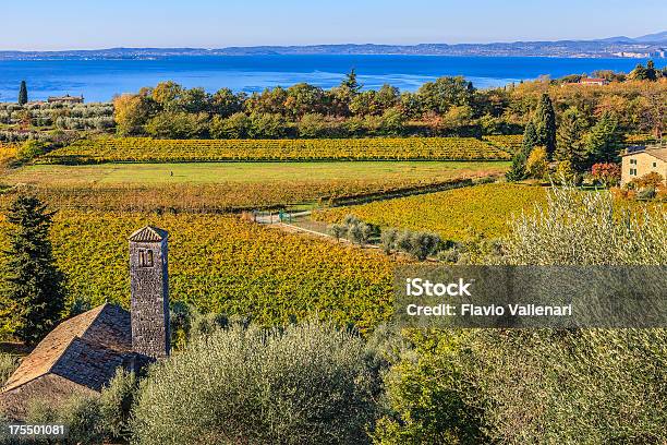 Photo libre de droit de Vignobles En Automne Au Lac De Garde Italie banque d'images et plus d'images libres de droit de Vignoble - Vignoble, Lac de Garde, Viticulture