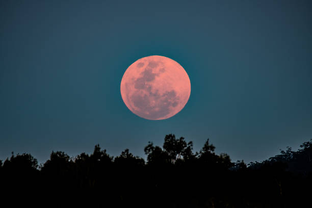 istock Full Moon, Harvest Moon, Super Moon during Sunset 1755011256