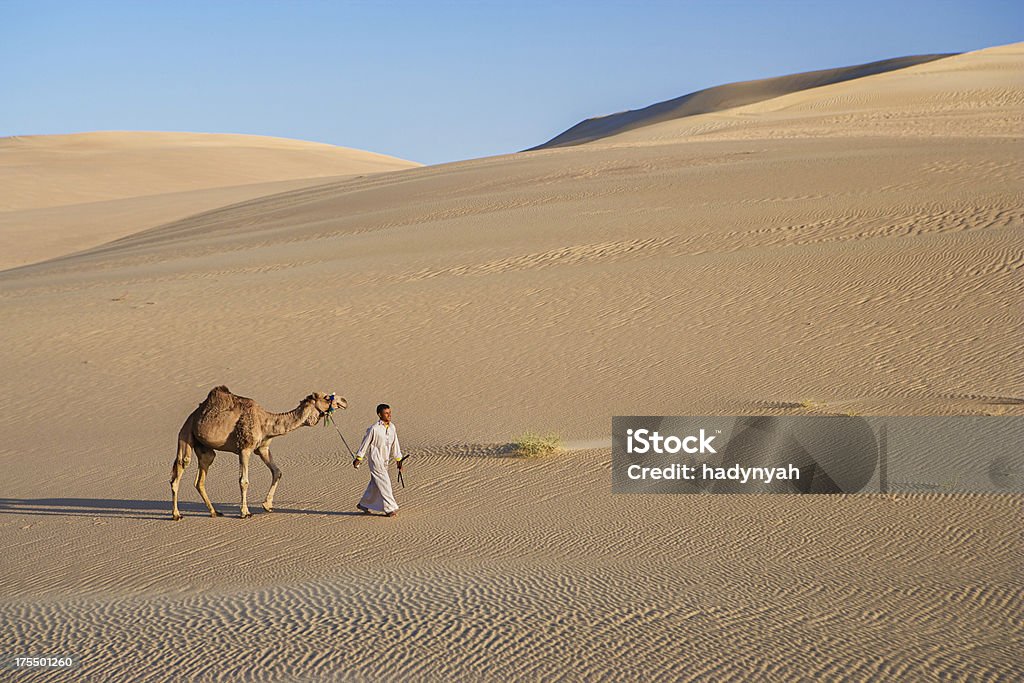 Young beduino con camellos en el desierto del sáhara del oeste en África - Foto de stock de Adulto libre de derechos