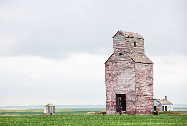 prairie grain elevator - regina fog morning saskatchewan stock-fotos und bilder