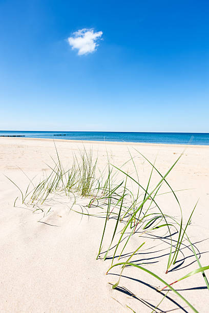 istock Perfect beach - sand dunes and the sea 175501537