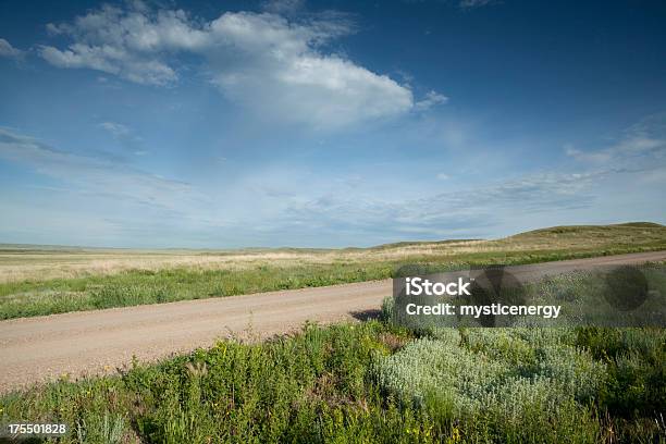 Grasslands 国立公園 - カナダのストックフォトや画像を多数ご用意 - カナダ, グラスランズ国立公園, サスカチュワン州