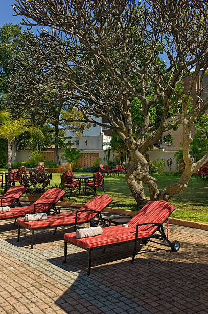 африканский тропический курорт - parasol formal garden furniture sofa стоковые фото и изображения