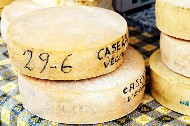 maturo formaggio. immagine a colori - farmers cheese foto e immagini stock