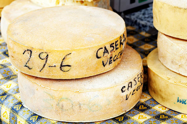 tomates queijo. imagem a cores - dairy farm dairy product emmental cheese cheese imagens e fotografias de stock