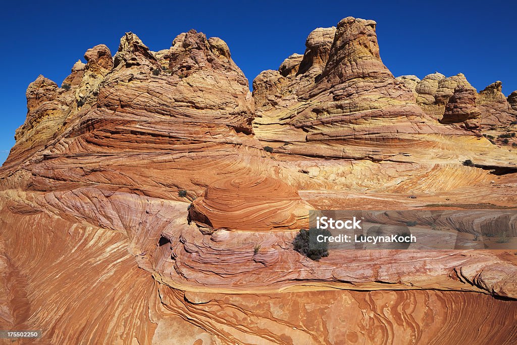 Desert-Landschaft - Lizenzfrei Amerikanische Kontinente und Regionen Stock-Foto