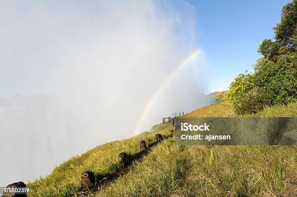 Photo libre de droit de Double Arcenciel Sur Les Chutes Victoria Classée Au Patrimoine Mondial De Lunesco La Zambie banque d'images et plus d'images libres de droit de Afrique