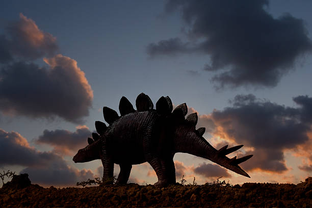 dinosauro stegosauro - stegosauro foto e immagini stock