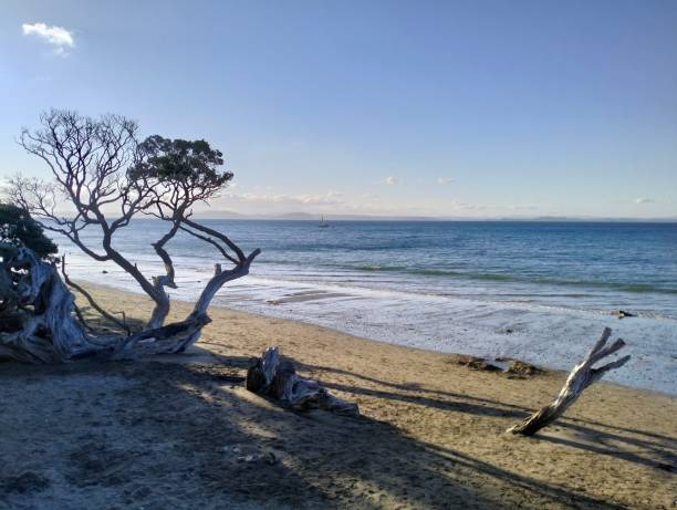 istock Beautiful evening view of Shakespear's Beach 1755026240