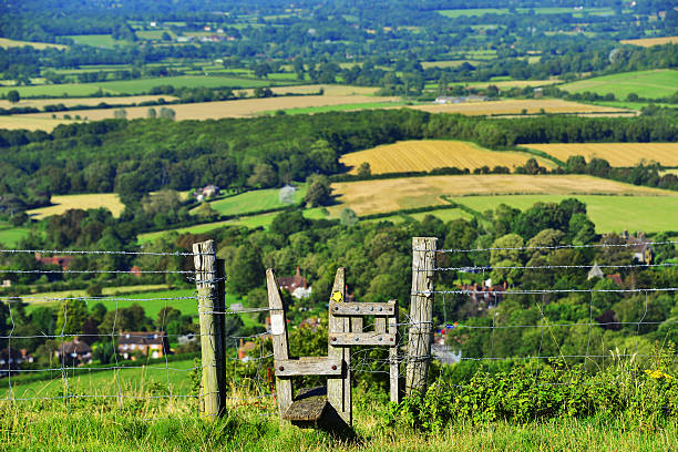 south downs - public footath foto e immagini stock