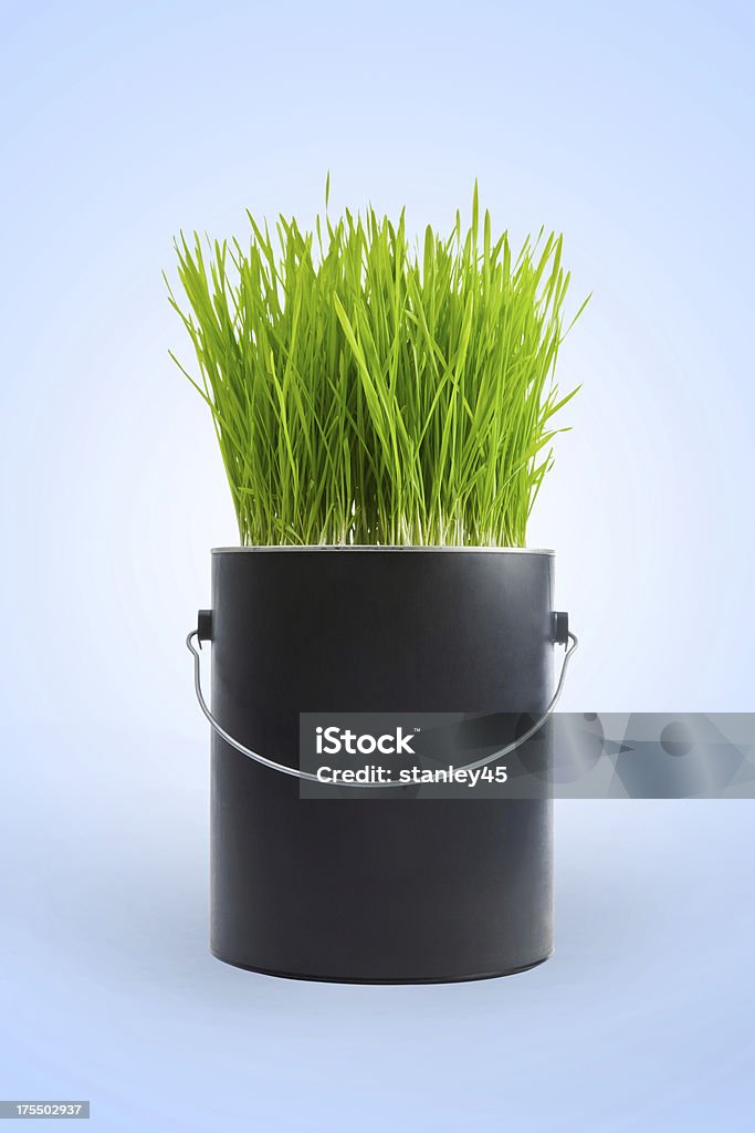 Gras wächst in schwarzem Kunststoff Farbdose - Lizenzfrei Farbdose Stock-Foto