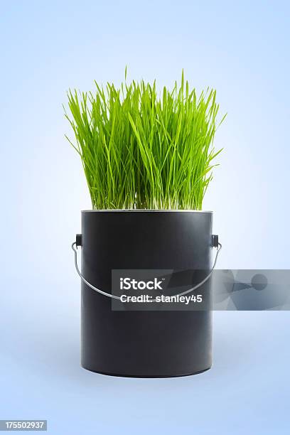 Gras Wächst In Schwarzem Kunststoff Farbdose Stockfoto und mehr Bilder von Farbdose - Farbdose, Schwarz - Farbe, Behälter