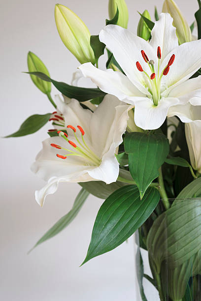 istock Lilies in a large glass vase 175502957