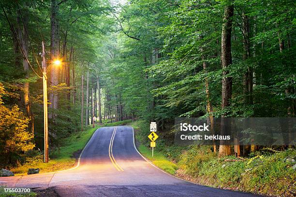 Winding Road Through Thick Forest Stock Photo - Download Image Now - Asphalt, Backgrounds, Bush