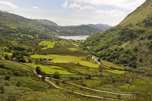 nant gwynant - nant gwynant imagens e fotografias de stock