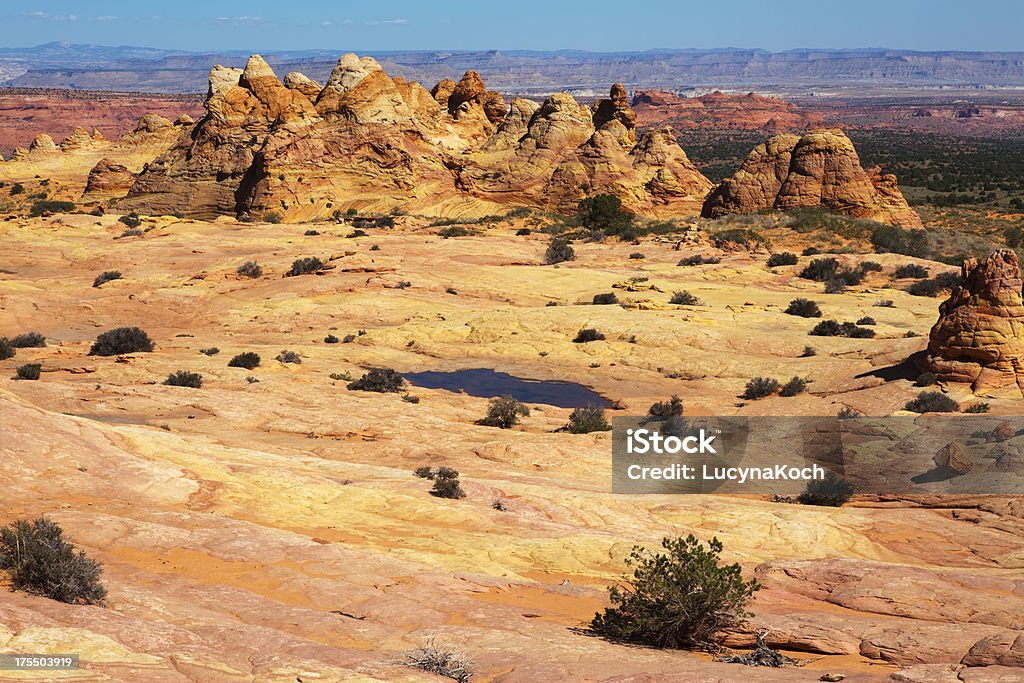 Desert-Landschaft - Lizenzfrei Amerikanische Kontinente und Regionen Stock-Foto