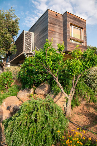 istock Ecological. Modern and Efficient Wooden Design House 175504221