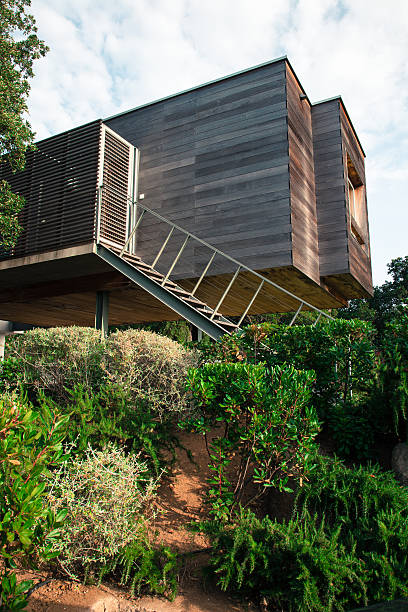 istock Ecological. Modern and Efficient Wooden Design House 175504273